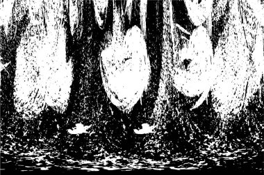 siyah ve beyaz grunge soyut arkaplan