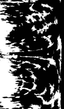 Soyut arkaplan. monokrom dokusu. resim siyah ve beyaz tonları içerir.