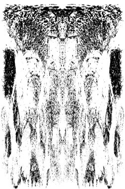 Grunge dikey olarak simetrik siyah beyaz doku. Tek renkli yıpranmış kaplama deseni. 