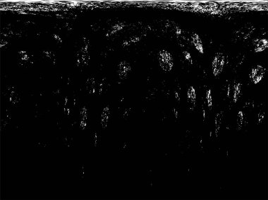 Grunge üst üste biniyor. Soyut siyah-beyaz vektör arkaplanı. Çatlak, leke ve noktalarda kirli desenli tek renkli klasik yüzey. Karanlık korku tarzında eski bir duvar.