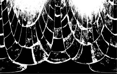 Grunge dikey olarak simetrik siyah beyaz doku. Tek renkli yıpranmış kaplama deseni. 