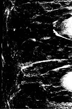 Siyah ve beyaz elementlerle kusursuz desen. 