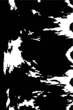 Siyah ve beyaz elementlerle kusursuz desen. 