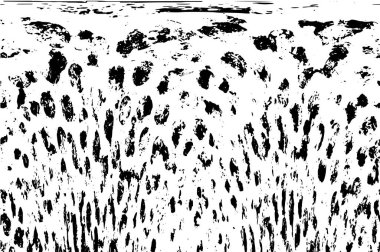 Siyah ve beyaz elementlerle kusursuz desen. 