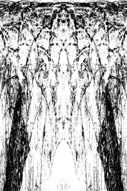 Grunge dikey olarak simetrik siyah beyaz doku. Tek renkli yıpranmış kaplama deseni. 