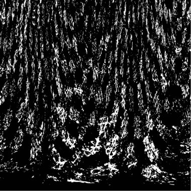 siyah ve beyaz grunge arkaplanı 