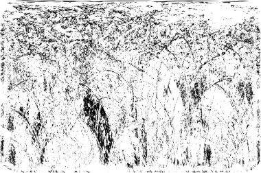 siyah ve beyaz grunge arkaplanı 