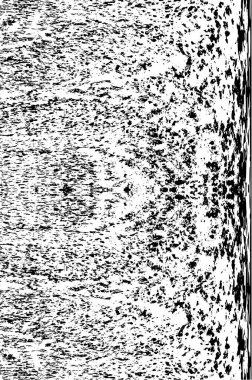 Arkaplan için eski grunge duvarını özetle