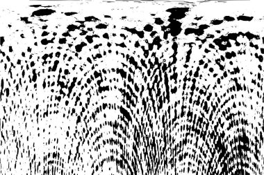 eski soyut son derece detaylı grunge arka plan dokulu