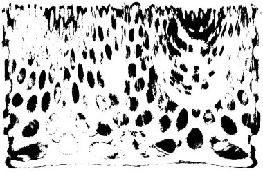 siyah beyaz monokrom eski grunge vintage yıpranmış arka plan