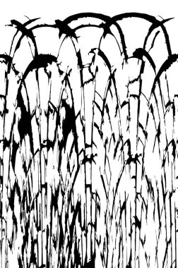 siyah ve beyaz grunge arkaplanı