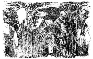 siyah ve beyaz grunge arkaplanı