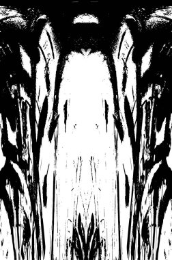 siyah ve beyaz grunge arkaplanı