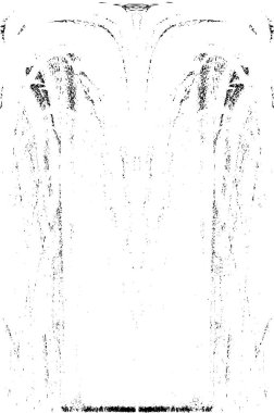 Grunge dikey olarak simetrik siyah beyaz doku. Tek renkli yıpranmış kaplama deseni. 