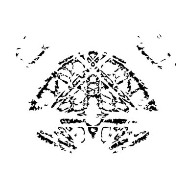 Grunge 'un arka planı. siyah ve beyaz doku.