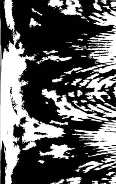 Grunge 'un arka planı. siyah ve beyaz doku.