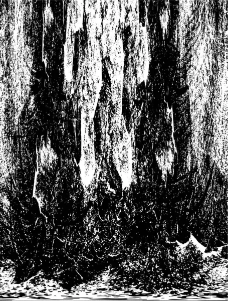 Siyah ve beyaz elementlerle kusursuz desen. 