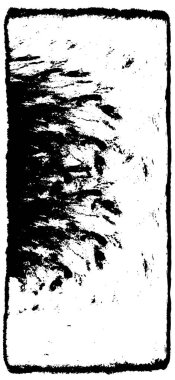 Grunge 'un arka planı. siyah ve beyaz doku.