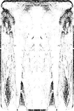 Grunge dikey olarak simetrik siyah beyaz doku. Tek renkli yıpranmış kaplama deseni. 