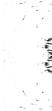 Siyah ve beyaz dokusunda sıkıntılı arkaplan 