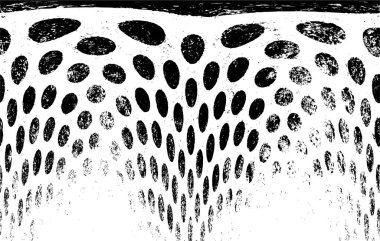 Siyah ve beyaz dokusunda sıkıntılı arkaplan 