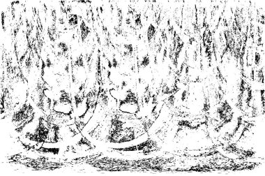 Siyah ve beyaz dokusunda sıkıntılı arkaplan 