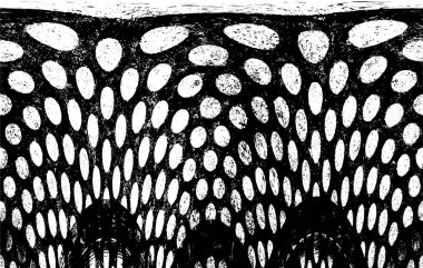 Siyah ve beyaz dokusunda sıkıntılı arkaplan 