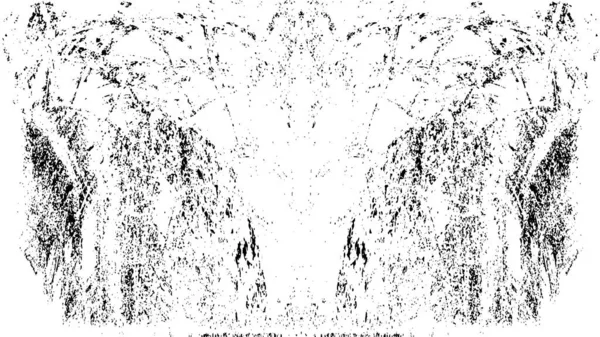 Grunge 'un arka planı. siyah ve beyaz doku.