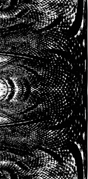 Grunge 'un arka planı. siyah ve beyaz doku.