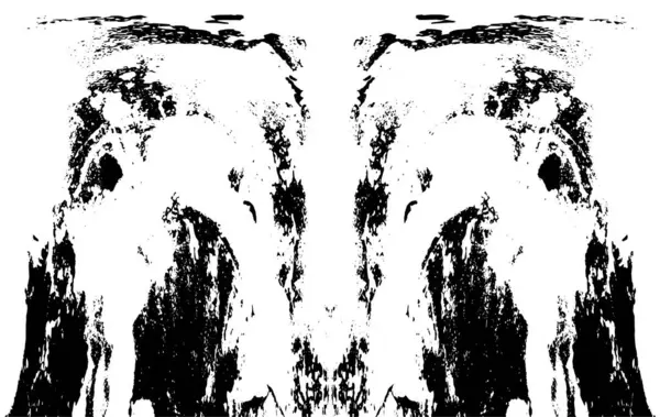 Grunge 'un arka planı. siyah ve beyaz doku.