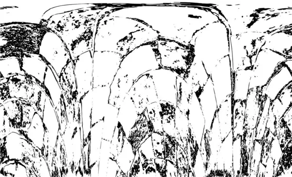 soyut siyah ve beyaz grunge arkaplan şablonu