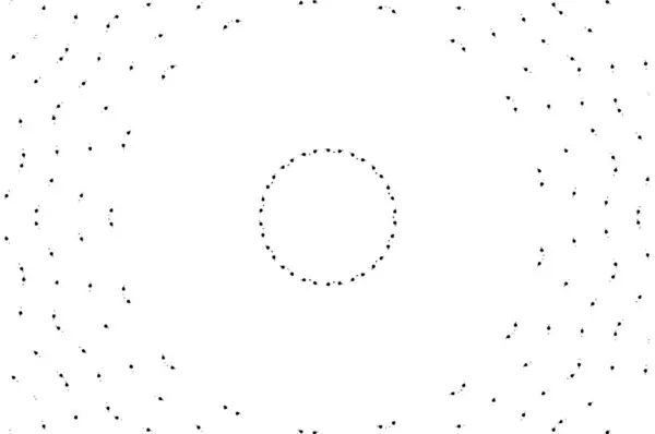 Fond Ornemental Monochrome Avec Motif Kaléidoscopique — Image vectorielle