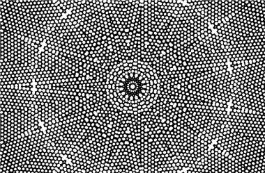 Kaleydoskopik süslemeli siyah beyaz arkaplan