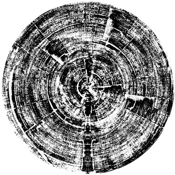 Абстрактний Гранжевий Чорно Білий Фон — стоковий вектор