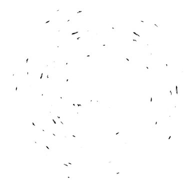 Beyaz arkaplanda soyut siyah yuvarlak şekil. vektör illüstrasyonu    