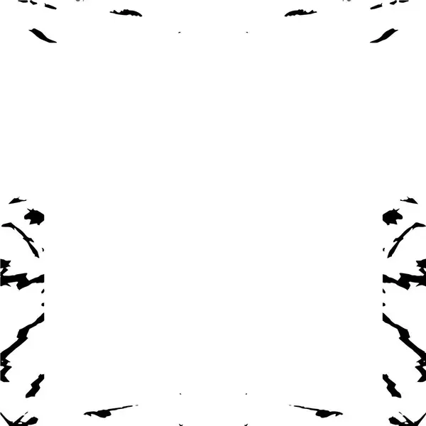 Cadre Vecteur Noir Blanc Fond Grunge — Image vectorielle