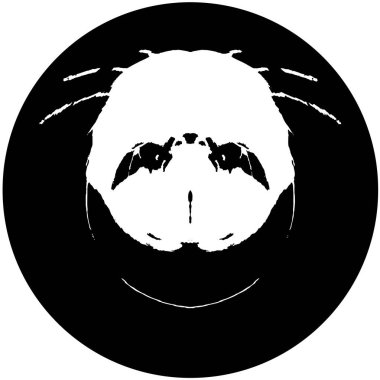 Döküntü boya ve alçı çatlaklarının dokusu ya da arka plan duvarı