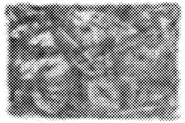 siyah beyaz monokrom eski grunge vintage yıpranmış arka plan 