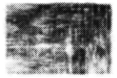 siyah beyaz soyut dokulu arka plan      