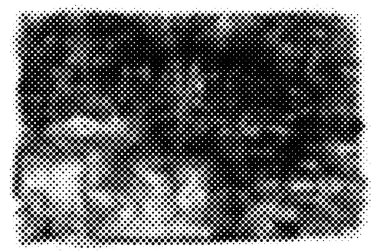 siyah beyaz monokrom eski grunge vintage yıpranmış arka plan 