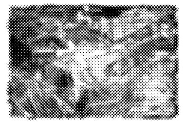 soyut siyah beyaz grunge dokusu 