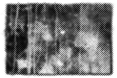 Grunge Deseni. Siyah ve Beyaz Doku. Klasik Monokrom Kaplaması. Vektör illüstrasyonu