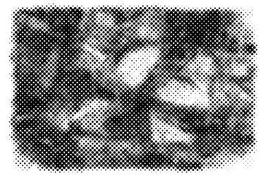 siyah beyaz monokrom eski grunge vintage yıpranmış arka plan