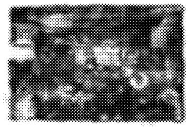 Grunge yarım ton vektör arkaplan. Yarı ton vektör dokusunu belirler. Gradyan yarım ton, pop sanatında arka planda yer alır. Siyah ve beyaz desenli. Mürekkep Yazdırma Sıkıntısı Arkaplanı 