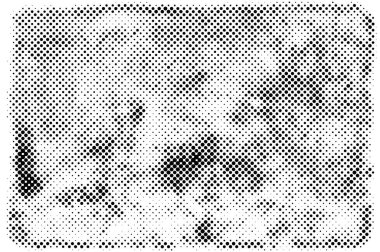 Siyah ve beyaz grunge vektör çizgisi arkaplanı görüldü. Soyut yarım ton illüstrasyon arka planı. Grunge ızgara polka nokta arkaplan deseni