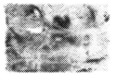 siyah beyaz monokrom eski grunge vintage yıpranmış arka plan