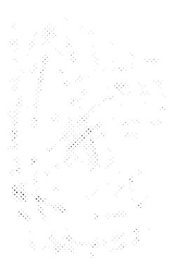 Hayalet Tek Renkli: Tehlike Vektörü DokusuComment