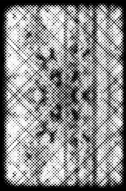 Siyah ve beyaz yarım ton vektör arkaplan. Noktalı doku ve eğim