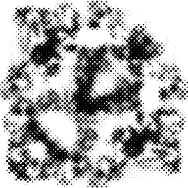 Yarı ton siyah beyaz grunge arka plan. Beyaz arka plana dağılmış noktaların dokusu. Kartvizitlerde, rozetlerde, etiketlerde klasik sanat tarzında soyut desenler var. Vektör tek renkli elementler