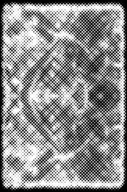 Soyut siyah ve beyaz doku arkaplanı.